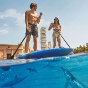 Atlantis Dolphin Paddle – Scoprire i delfini a colpi di pagaia