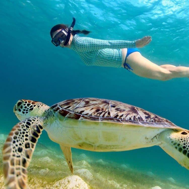 Tour guidato di snorkeling a Fujairah con pranzo al barbecue