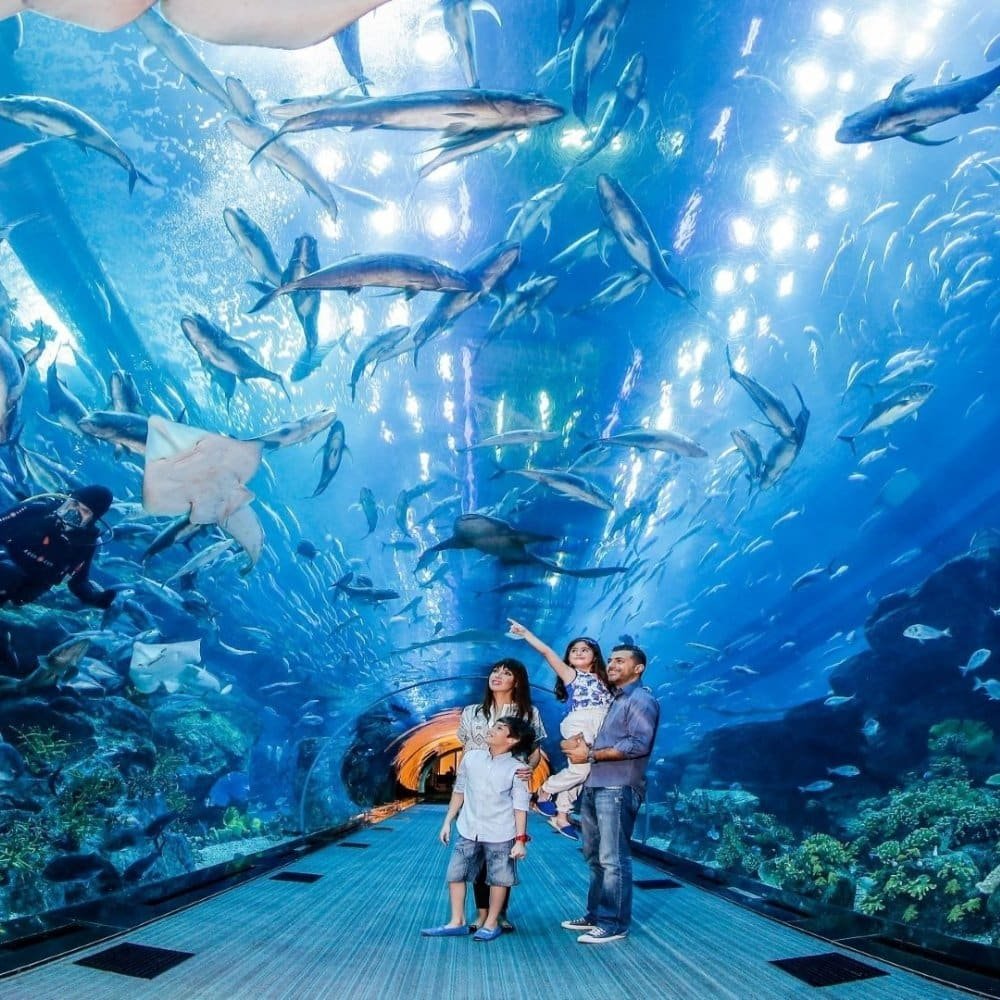 Biglietto combinato per il Burj Khalifa e l’Acquario di Dubai