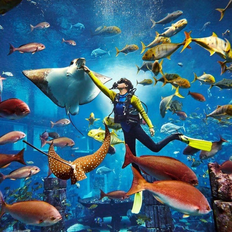 Discover scuba diving at Atlantis water park