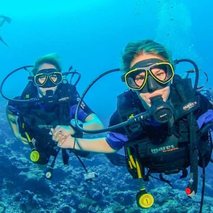 Explore the seabed on 2 dives enjoy a barbecue lunch