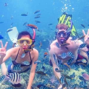 PADI scuba diving and snorkeling for beginners with barbecue lunch